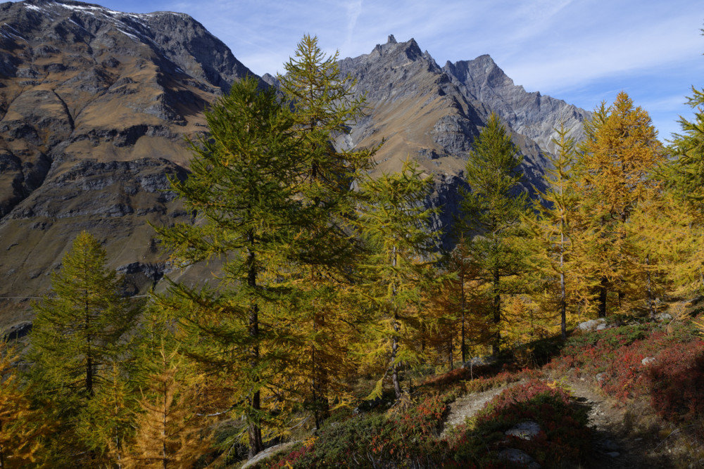 grand-paradis-val-de-rhemes-12