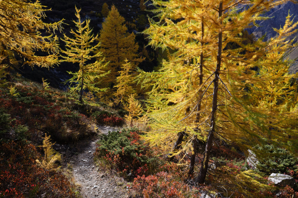 grand-paradis-val-de-rhemes-13