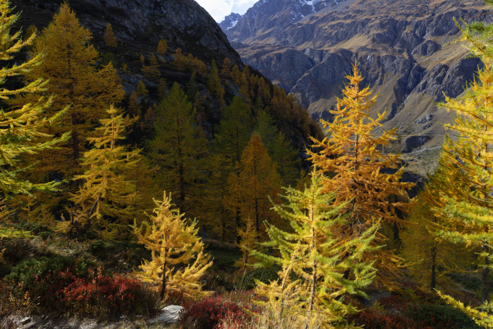 grand-paradis-val-de-rhemes-14