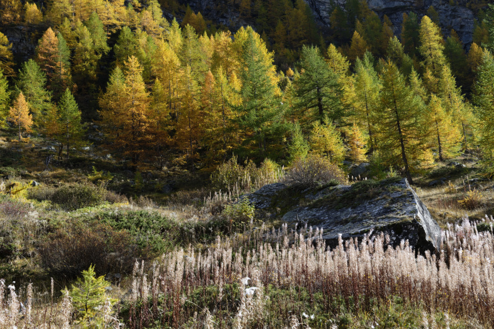 grand-paradis-val-de-rhemes-15