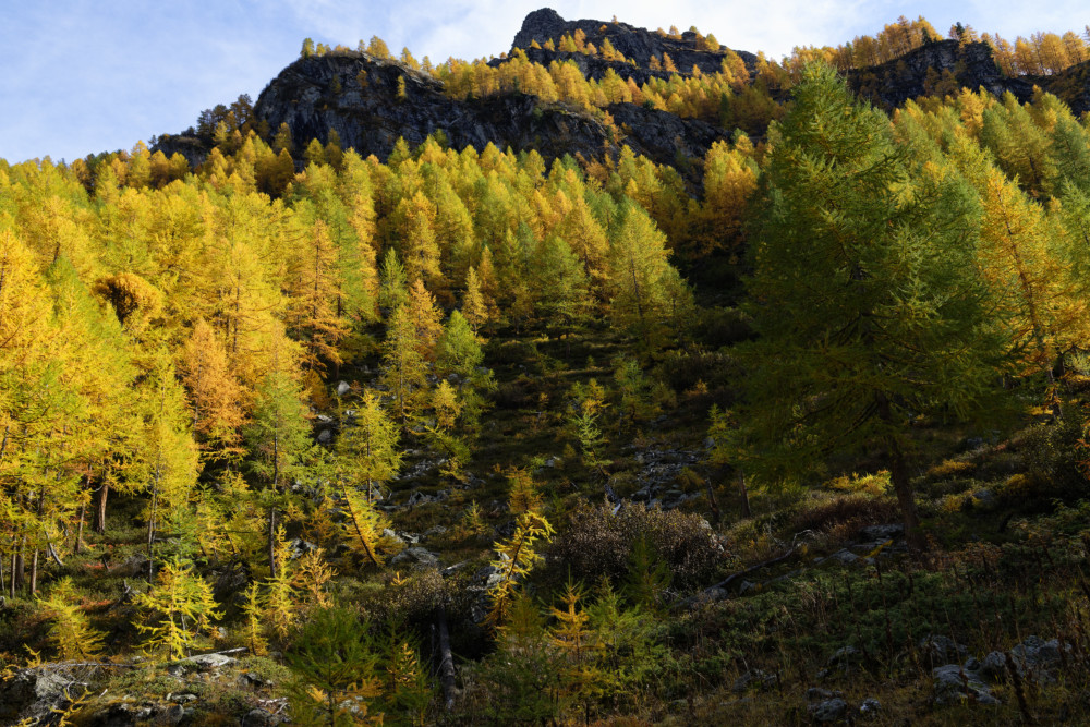 grand-paradis-val-de-rhemes-17