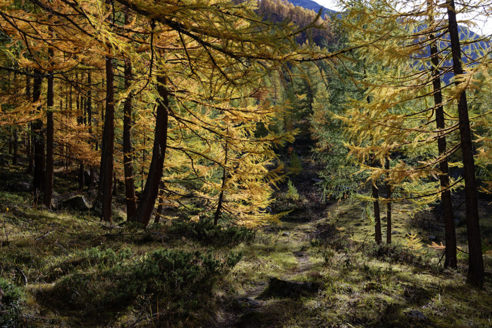 grand-paradis-val-de-rhemes-18
