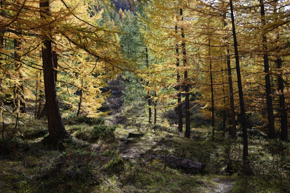 grand-paradis-val-de-rhemes-19