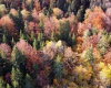Les Lésines couleurs d'automne