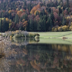 Les Lésines couleurs d'automne vignette