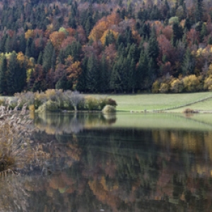 Les Lésines couleurs d'automne vignette