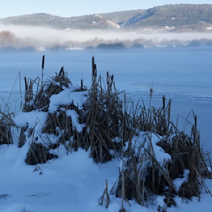 Haut-Bugey Les Lésines l'hiver vignette