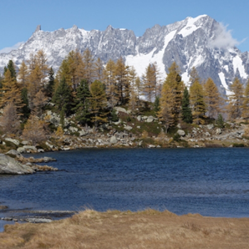 Lac Arpy vignette 2021